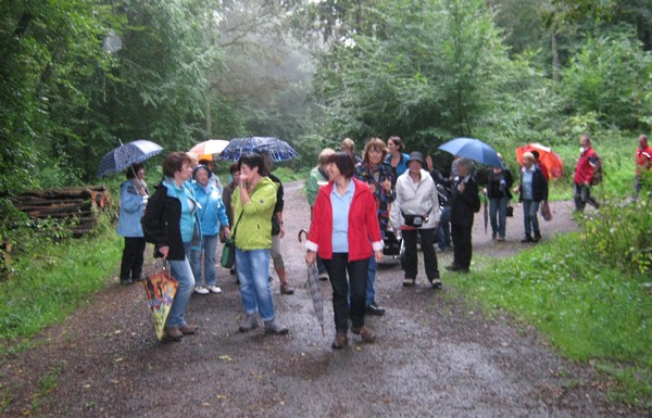 Herbstwanderung 2013