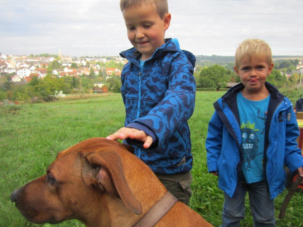 Vereinswanderung 2015