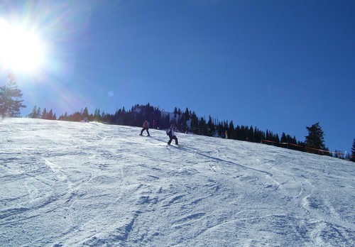 TGS-Volleyballer beim Skifahren